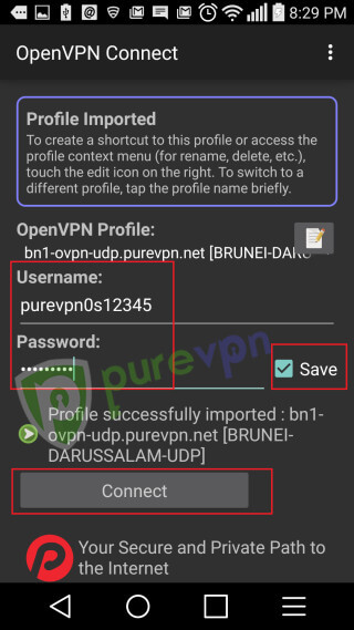 PureVPN用户名和密码